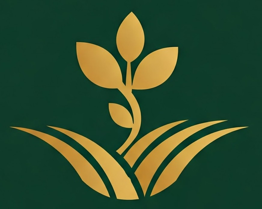 Conseils Sud-Ouest inc.